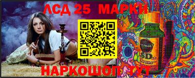крисы Кунгур