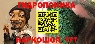 крисы Кунгур