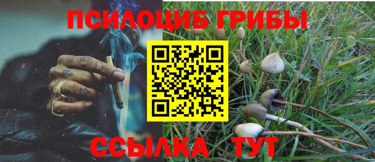 Псилоцибиновые грибы GOLDEN TEACHER  закладки  Вход с VPN  Ишим  Галлюциногенные грибы мухоморы 